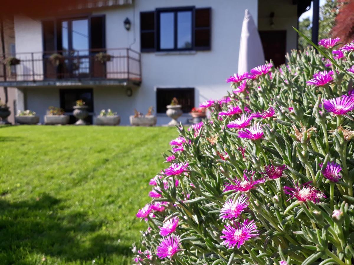 Villa Giardino Dervio Ngoại thất bức ảnh
